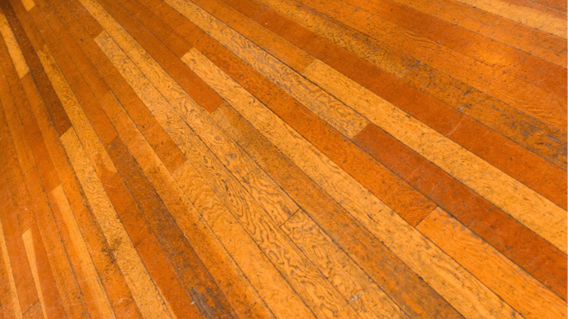 affordable floor sanding after image