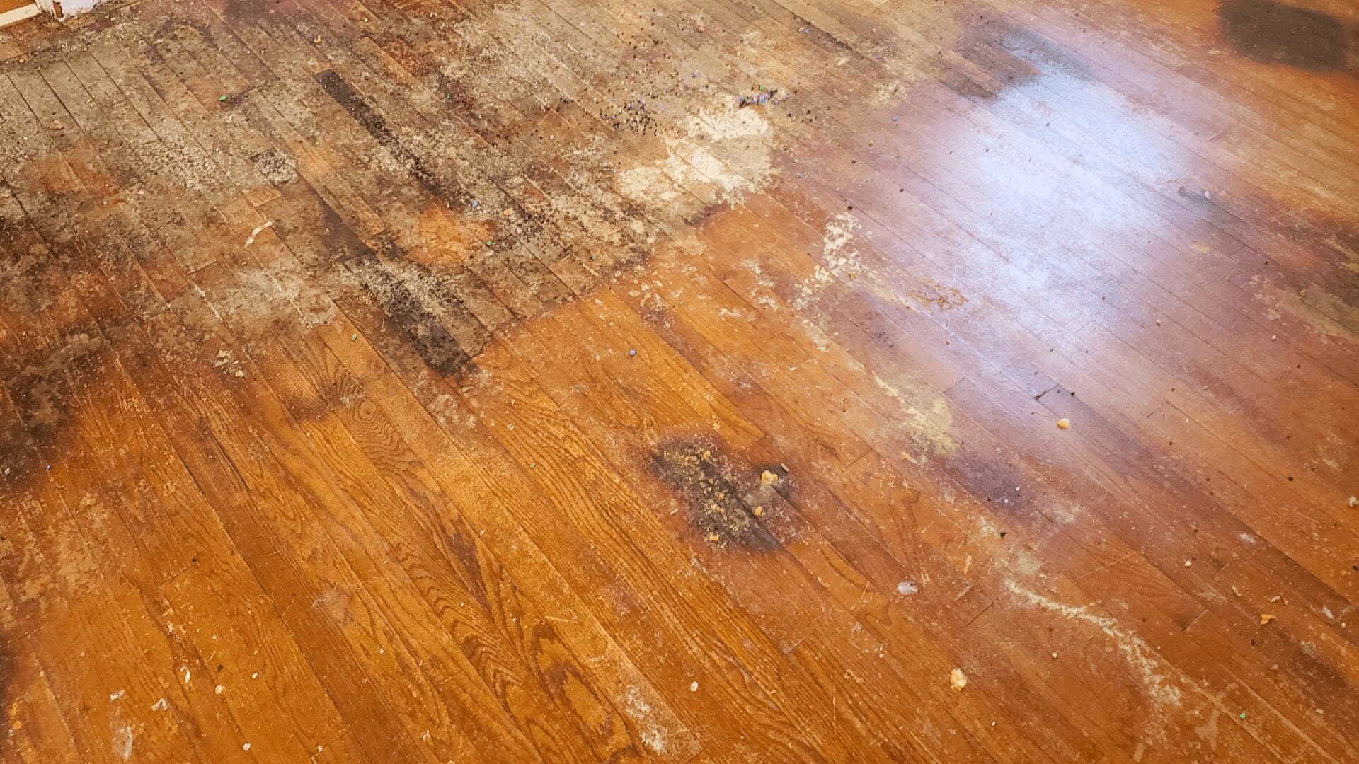affordable floor sanding before image